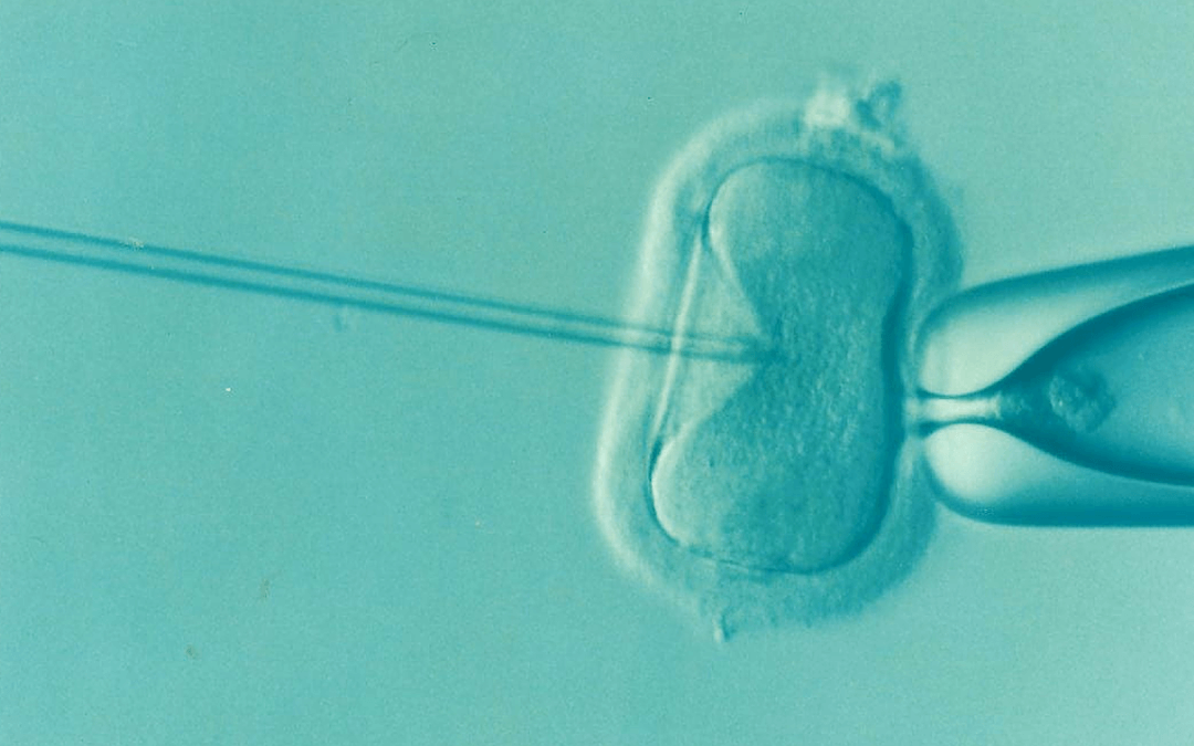 Futuro prometedor para la cura de anomalías genéticas en embriones